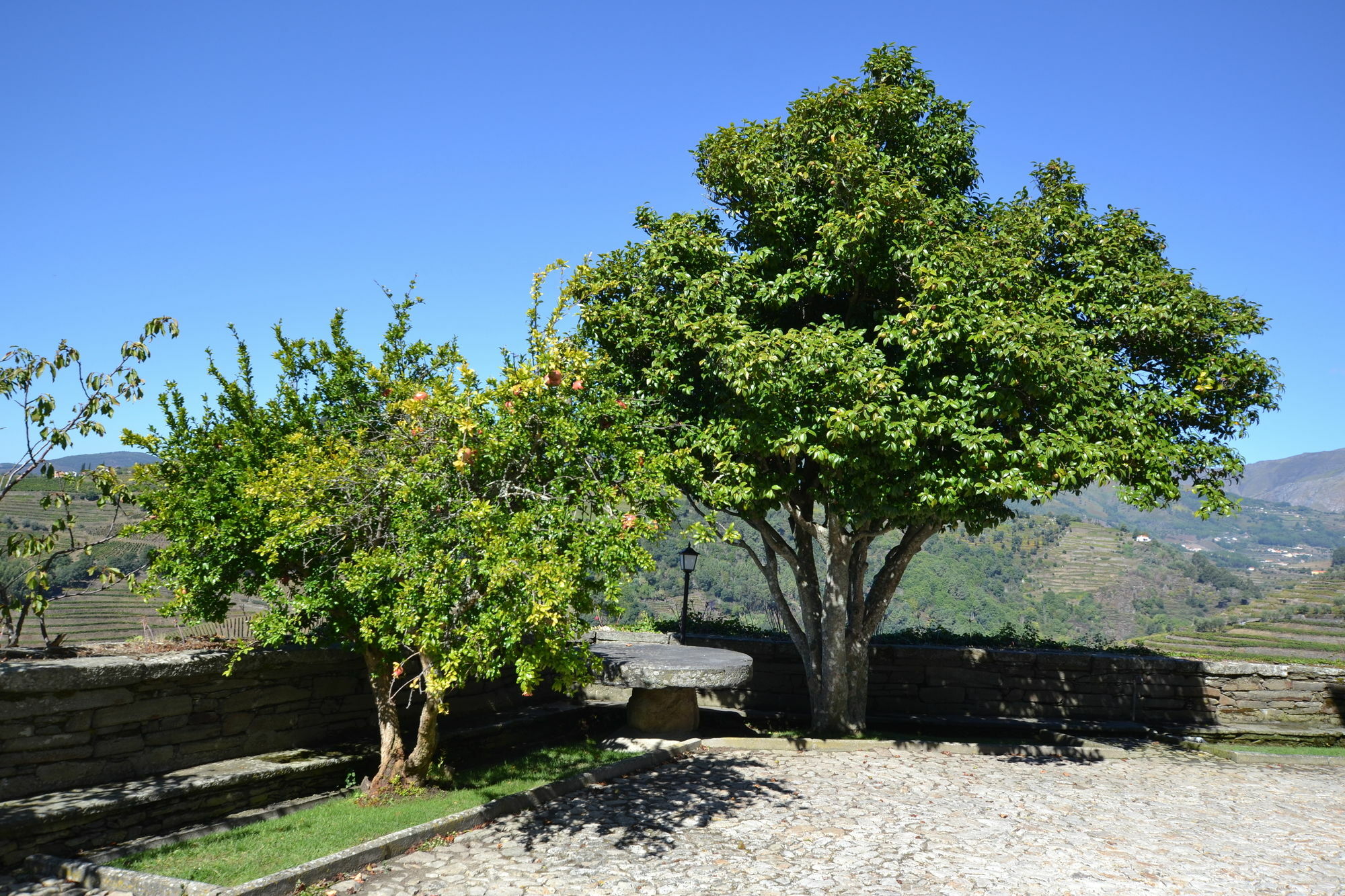 Casa Das Torres De Oliveira Mesão Frio Exterior foto