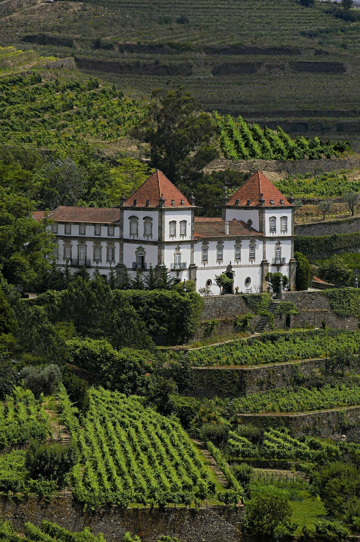 Casa Das Torres De Oliveira Mesão Frio Exterior foto